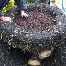 cob oven dublin
